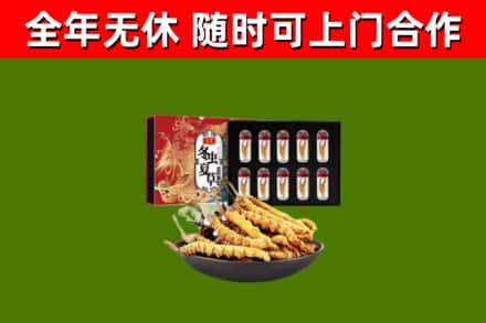景宁回收冬虫夏草价格